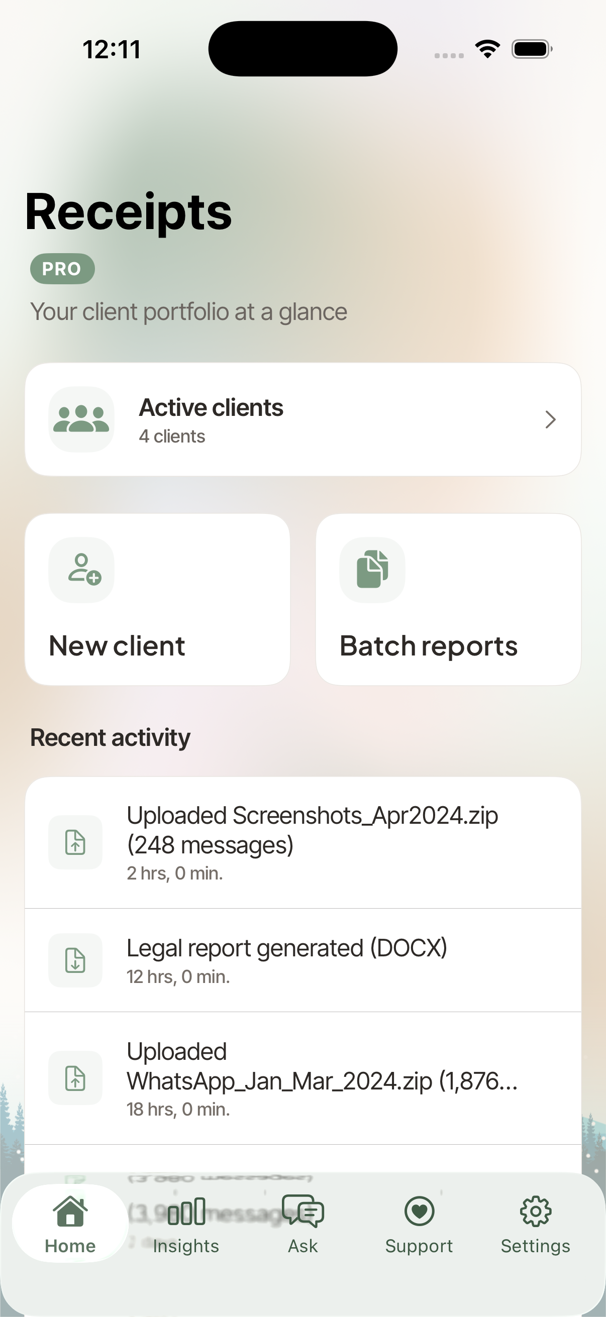 Receipts Pro home screen on iOS